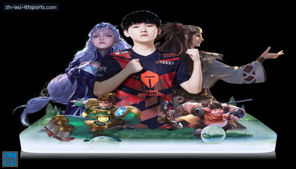 6T体育 banner